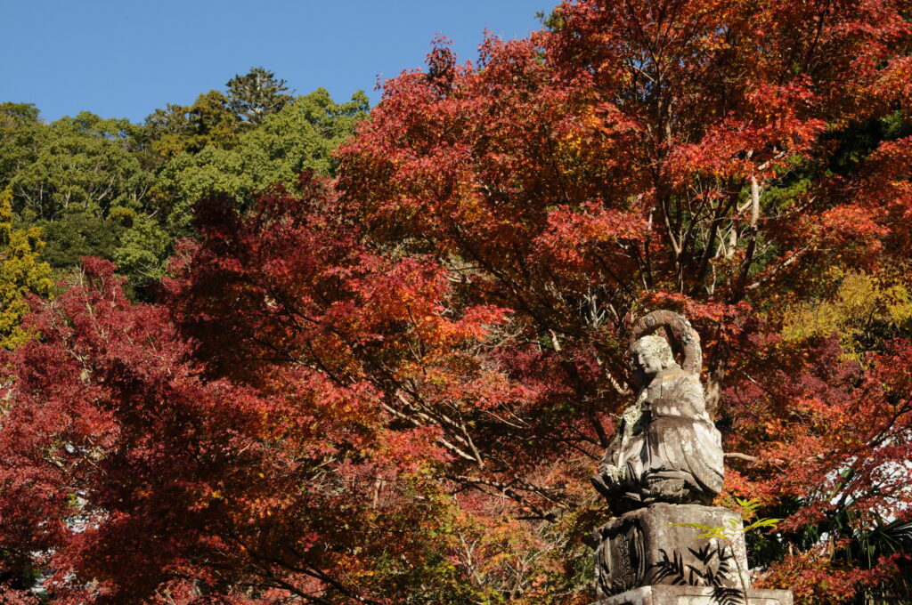 小松寺 紅葉